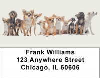 Lovable Chihuahuas Address Labels | LBDOG-99