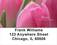 Bloom Where You're Planted Address Labels | LBFLO-04