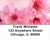 Blossoms In Pink and Blue Address Labels | LBFLO-06