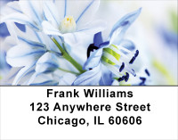 Blossoms In Pink and Blue Address Labels | LBFLO-06