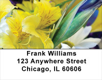 Colorful Floral Bouquets Address Labels | LBFLO-09