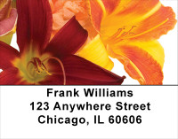 Day Lilies Address Labels | LBFLO-24