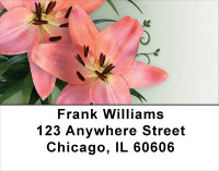 Day Lilies Delight Address Labels | LBFLO-25