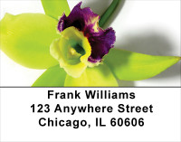 Tropical Orchids Address Labels | LBFLO-34