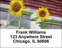 Joyous Sunflowers Address Labels | LBFLO-77