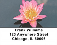 Beautiful Lotus Flowers Address Labels | LBFLO-92