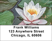 Beautiful Lotus Flowers Address Labels | LBFLO-92