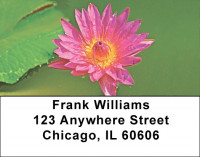 Beautiful Lotus Flowers Address Labels | LBFLO-92