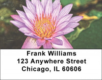 Divine Lotus Flowers address Labels | LBFLO-93