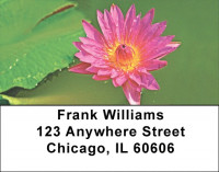 Divine Lotus Flowers address Labels | LBFLO-93