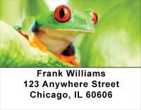 It's A Froggy Frog World Address Labels | LBFUN-63