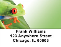 It's A Froggy Frog World Address Labels | LBFUN-63