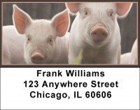 Pig Address Labels | LBJUR-05