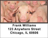 Pig Address Labels | LBJUR-05