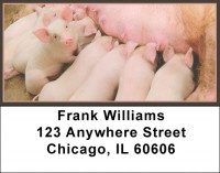 Pig Address Labels | LBJUR-05