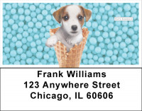 Coney Pups Keith Kimberlin Address Labels