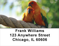Love Birds In The Tropics Address Labels | LBLOV-04