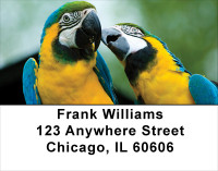 Love Birds In The Tropics Address Labels | LBLOV-04