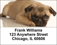 Puppy Love Address Labels | LBLOV-08