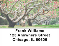 Trees In Springtime Address Labels | LBSCE-14