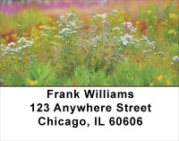 Wildflowers In Bloom Address Labels | LBSCE-15