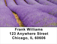 Fields Of Lavender Address Labels | LBSCE-16