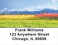 Foothills In Bloom Address Labels | LBSCE-17