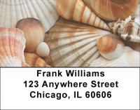 Lifes Treasure Address Labels | LBSCE-87