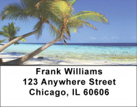 Palm Tree Bliss Labels | LBSCE-94
