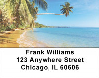 Palm Tree Bliss Labels | LBSCE-94