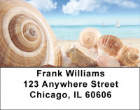 Seashells On The Beach Labels | LBSCE-95