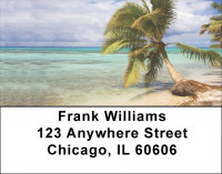 Palms in Paradise Labels | LBSCE-98