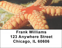 Sea Stars by Aggressor Fleet Address Labels | LBWYB-03