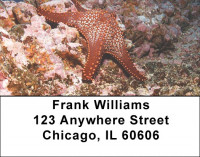 Sea Stars by Aggressor Fleet Address Labels | LBWYB-03