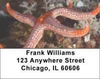 Sea Stars by Aggressor Fleet Address Labels | LBWYB-03