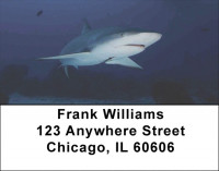 Sharks by Aggressor Fleet Address Labels | LBWYB-04