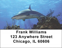 Sharks by Aggressor Fleet Address Labels | LBWYB-04