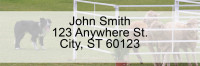 Border Collie at Work Rectangle Address Labels | LRDOG-46