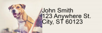 Bully Breed Love Address Labels | LRRDOG-113