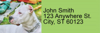 Bully Breed Love Address Labels | LRRDOG-113