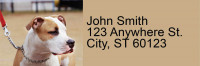 Bully Breed Love Address Labels | LRRDOG-113