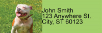 Pit Bull Pals Address Labels | LRRDOG-119