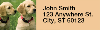 Golden Retriever Rectangle Address Labels | LRRDOG-39