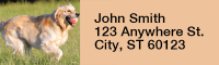 Golden Retriever Rectangle Address Labels | LRRDOG-39