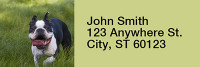 Boston Terrier Rectangle Address Labels | LRRDOG-47