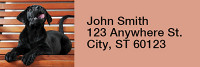 Black Lab Puppies Rectangle Address Labels | LRRDOG-53