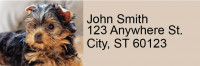 Yorkies Rectangle Address Labels | LRRDOG-57