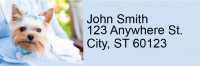 Yorkies Rectangle Address Labels | LRRDOG-57