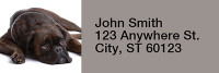 Boxer Rectangle Address Labels | LRRDOG-95