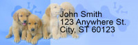 Golden Retriever Pups Keith Kimberlin Address Labels | LRRKKM-13